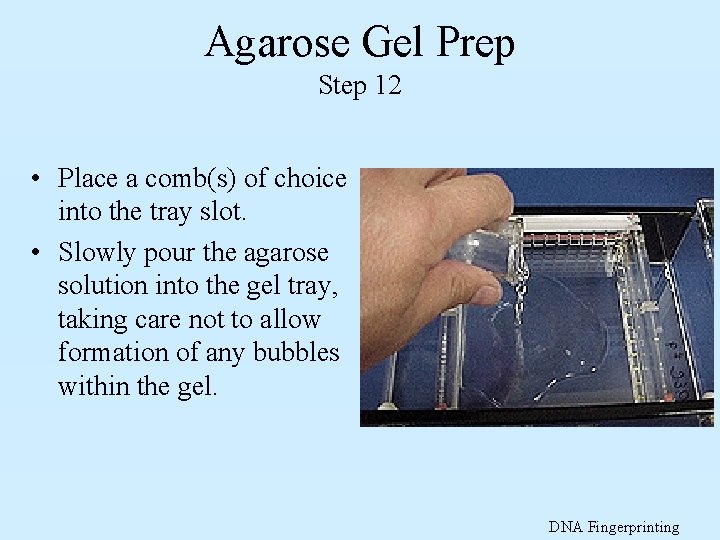 Agarose Gel Prep Step 12 • Place a comb(s) of choice into the tray