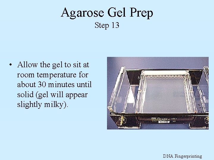 Agarose Gel Prep Step 13 • Allow the gel to sit at room temperature