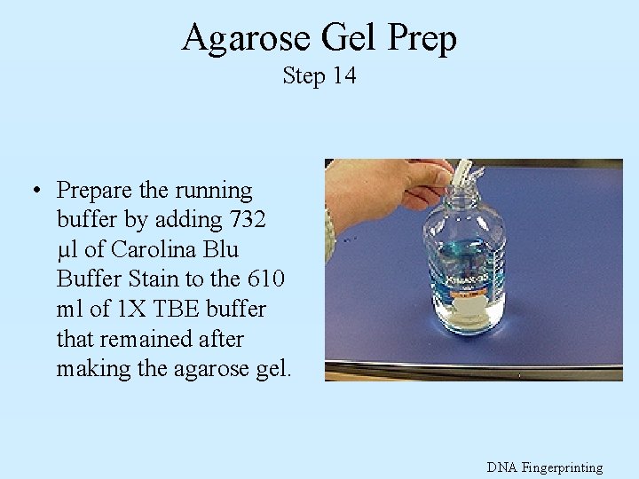 Agarose Gel Prep Step 14 • Prepare the running buffer by adding 732 µl