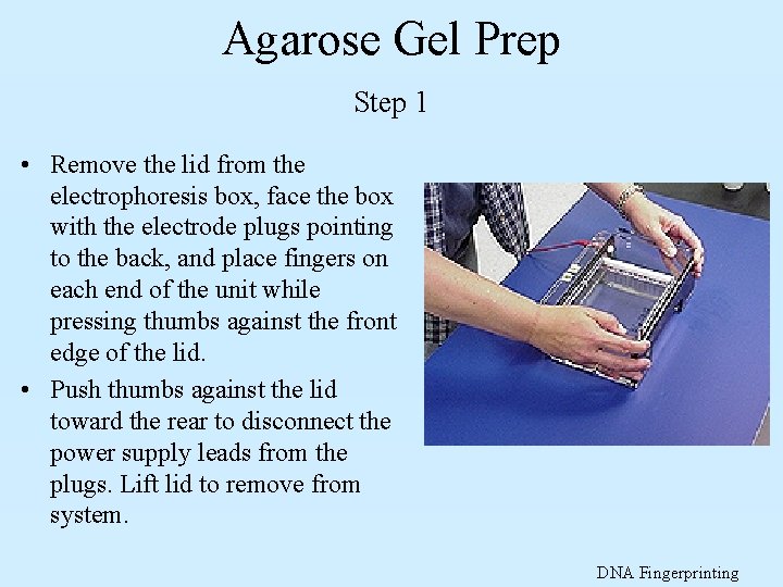 Agarose Gel Prep Step 1 • Remove the lid from the electrophoresis box, face