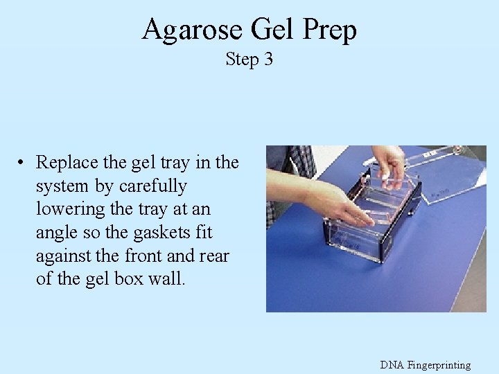 Agarose Gel Prep Step 3 • Replace the gel tray in the system by