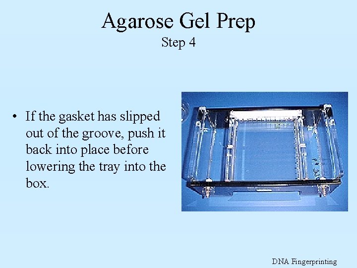 Agarose Gel Prep Step 4 • If the gasket has slipped out of the