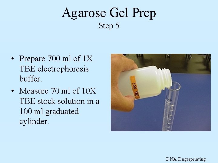 Agarose Gel Prep Step 5 • Prepare 700 ml of 1 X TBE electrophoresis