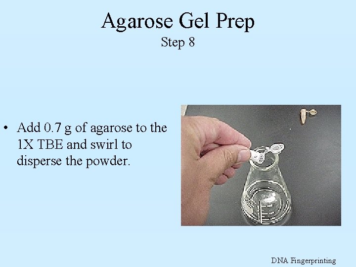 Agarose Gel Prep Step 8 • Add 0. 7 g of agarose to the
