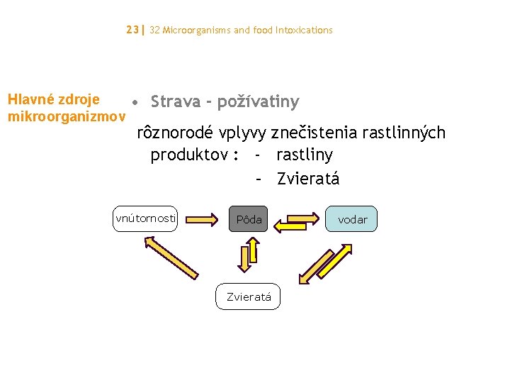 23| 32 Microorganisms and food Intoxications Hlavné zdroje mikroorganizmov • Strava - požívatiny rôznorodé