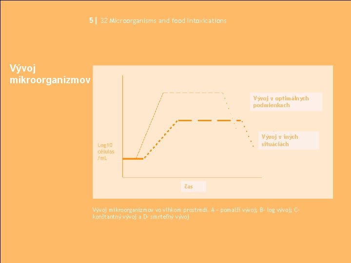 5| 32 Microorganisms and food Intoxications Vývoj mikroorganizmov Vývoj v optimálnych podmienkach Vývoj v
