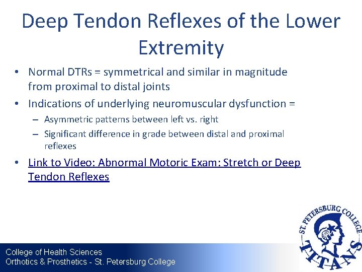 Deep Tendon Reflexes of the Lower Extremity • Normal DTRs = symmetrical and similar