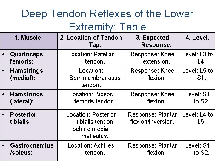 Deep Tendon Reflexes of the Lower Extremity: Table 1. Muscle. 2. Location of Tendon