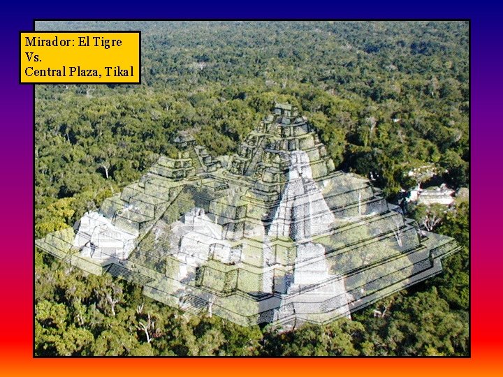 Mirador: El Tigre Vs. Central Plaza, Tikal 