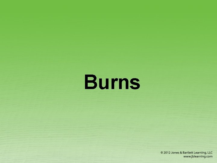 Burns 