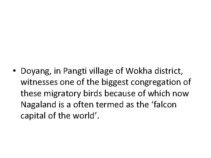  • Doyang, in Pangti village of Wokha district, witnesses one of the biggest