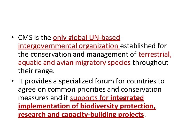  • CMS is the only global UN-based intergovernmental organization established for the conservation