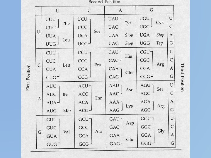 How to read a codon table… 