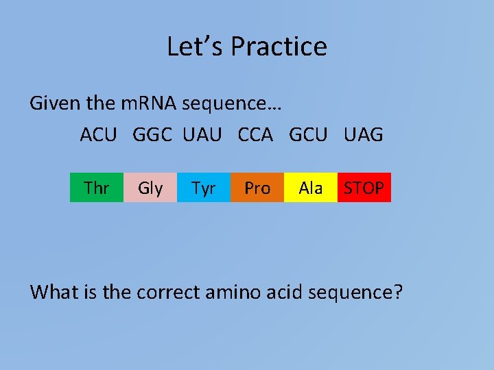 Let’s Practice Given the m. RNA sequence… ACU GGC UAU CCA GCU UAG Thr