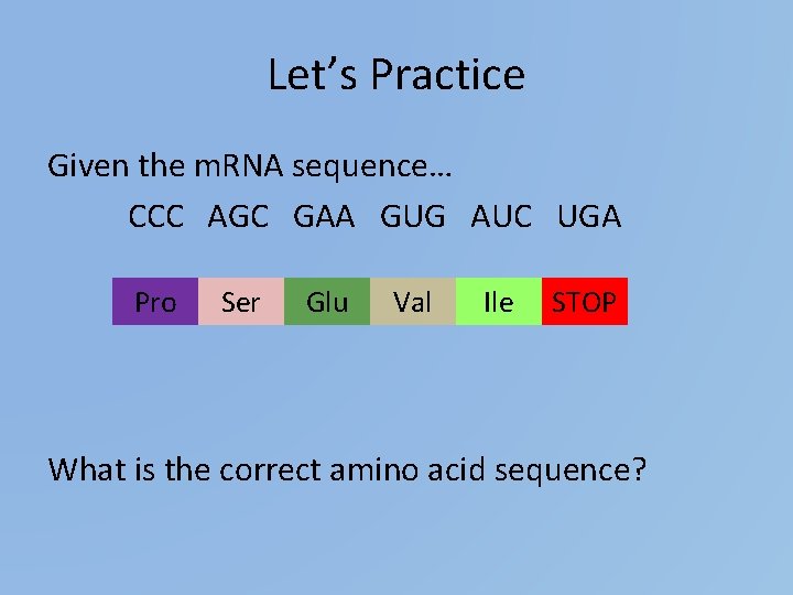 Let’s Practice Given the m. RNA sequence… CCC AGC GAA GUG AUC UGA Pro