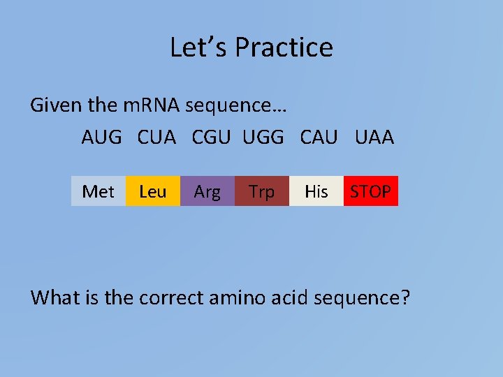 Let’s Practice Given the m. RNA sequence… AUG CUA CGU UGG CAU UAA Met