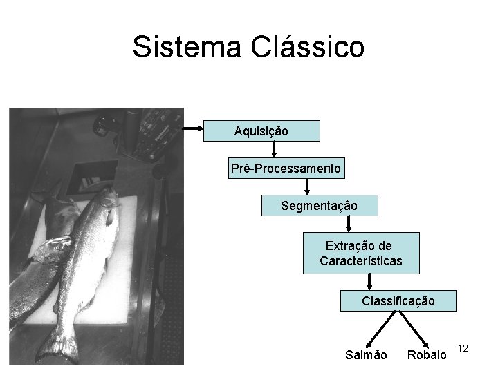 Sistema Clássico Aquisição Pré-Processamento Segmentação Extração de Características Classificação Salmão Robalo 12 