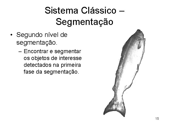 Sistema Clássico – Segmentação • Segundo nível de segmentação. – Encontrar e segmentar os