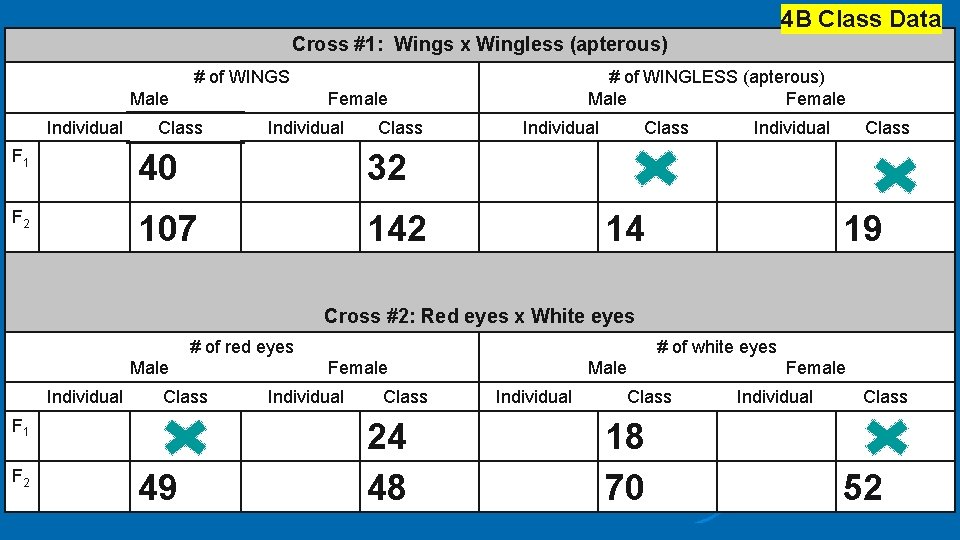 4 B Class Data Cross #1: Wings x Wingless (apterous) # of WINGS Male