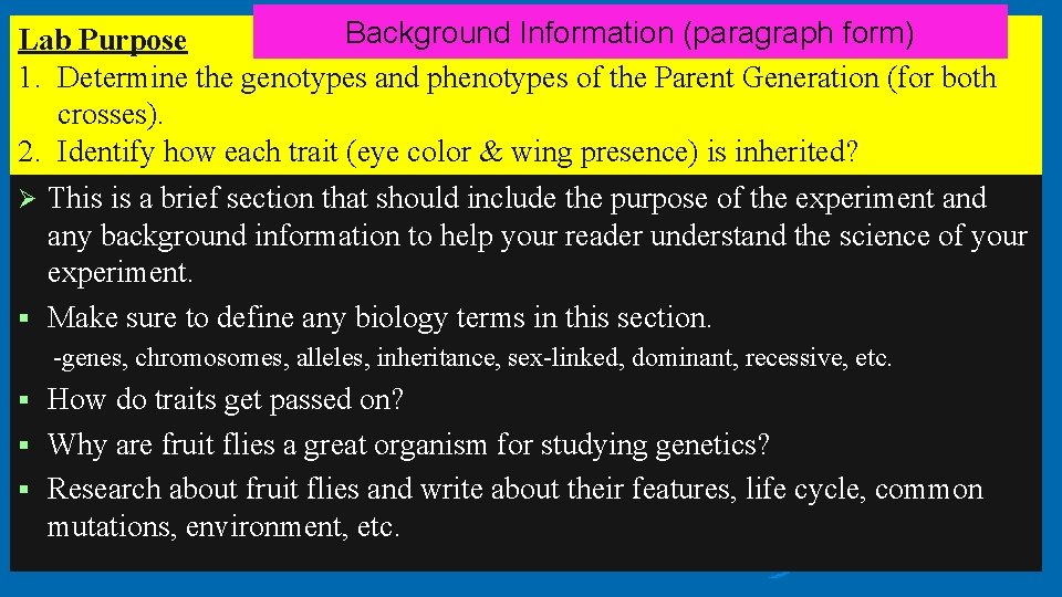 Background Information (paragraph form) Lab Purpose 1. Determine the genotypes and phenotypes of the