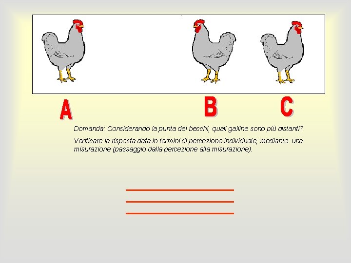 Domanda: Considerando la punta dei becchi, quali galline sono più distanti? Verificare la risposta