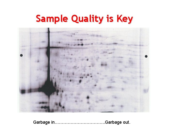 Sample Quality is Key Garbage in………………. . Garbage out. 