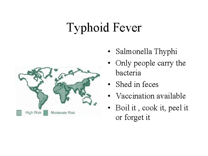 Typhoid Fever • Salmonella Thyphi • Only people carry the bacteria • Shed in