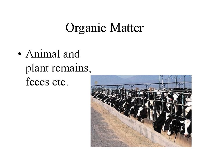 Organic Matter • Animal and plant remains, feces etc. 