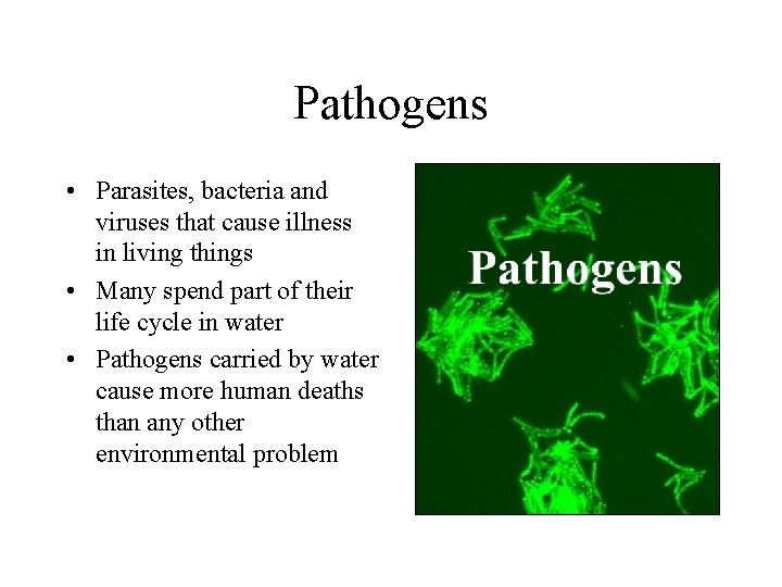 Pathogens • Parasites, bacteria and viruses that cause illness in living things • Many