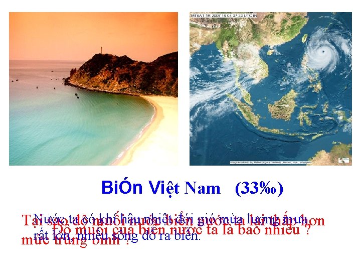 BiÓn Việt Nam (33‰) Nước khí hậu nhiệtbiển đới nước gió mùa mưahơn Tại