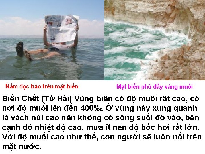 Nằm đọc báo trên mặt biển Mặt biển phủ đầy váng muối Biển Chết