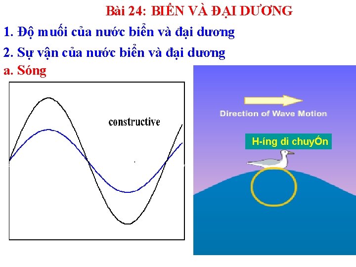 Bài 24: BIỂN VÀ ĐẠI DƯƠNG 1. Độ muối của nước biển và đại