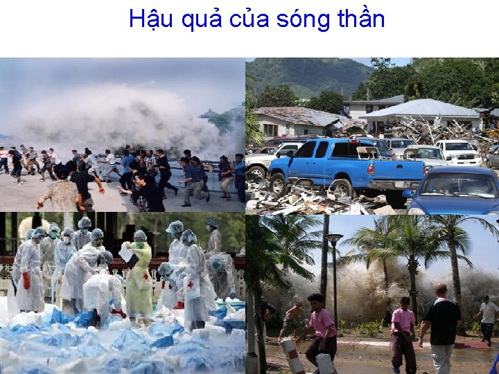 Hậu quả của sóng thần 