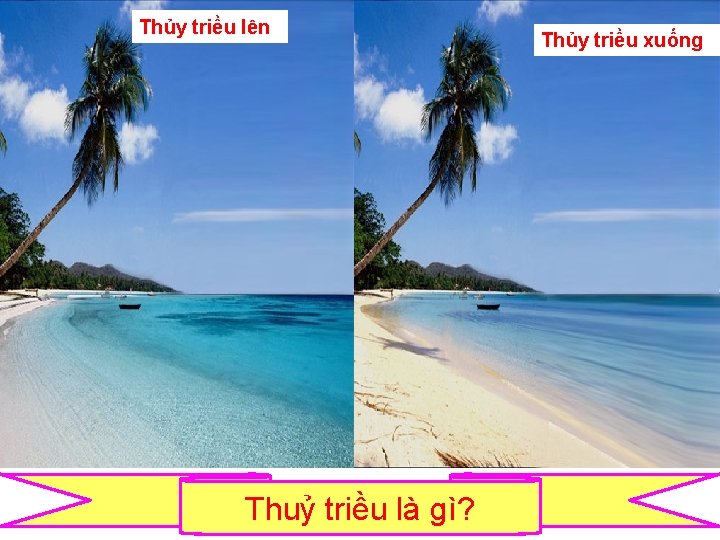 Thủy triều lên Thuỷ triều là gì? Thủy triều xuống 