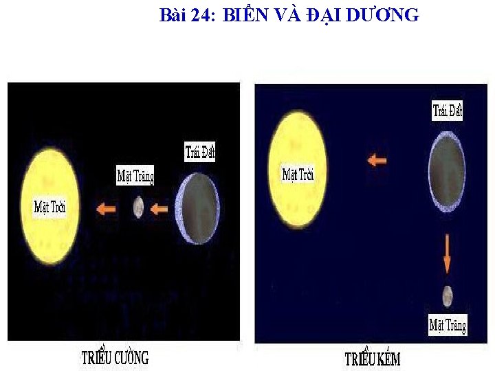 Bài 24: BIỂN VÀ ĐẠI DƯƠNG 