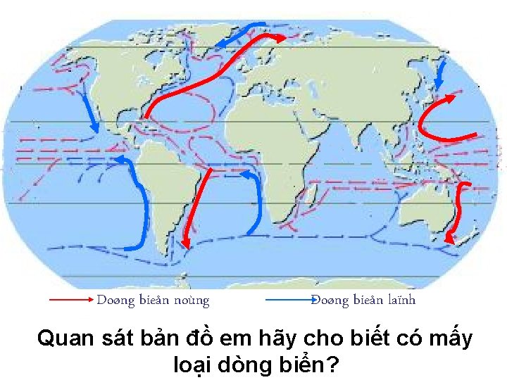 Doøng bieån noùng Doøng bieån laïnh Quan sát bản đồ em hãy cho biết