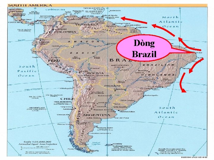 Dòng Brazil 