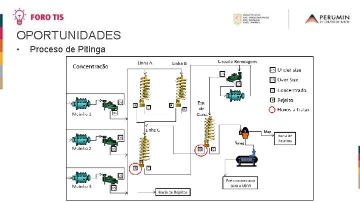 OPORTUNIDADES • Proceso de Pitinga 