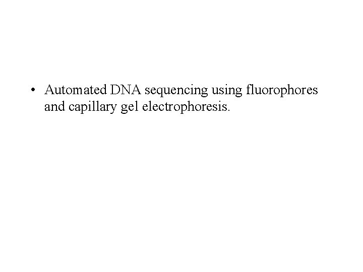  • Automated DNA sequencing using fluorophores and capillary gel electrophoresis. 