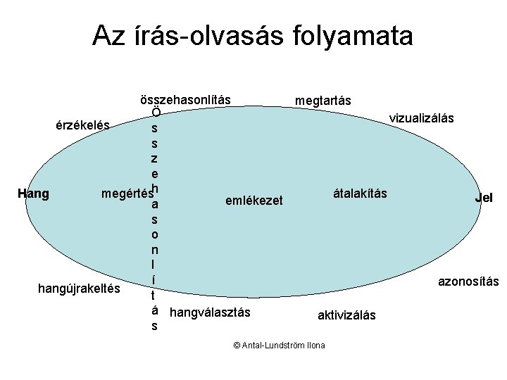 Az írás-olvasás folyamata összehasonlítás megtartás Ö vizualizálás érzékelés s s z e Hang megértésh