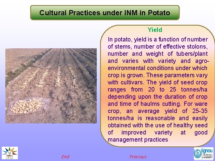 Cultural Practices under INM in Potato Yield In potato, yield is a function of