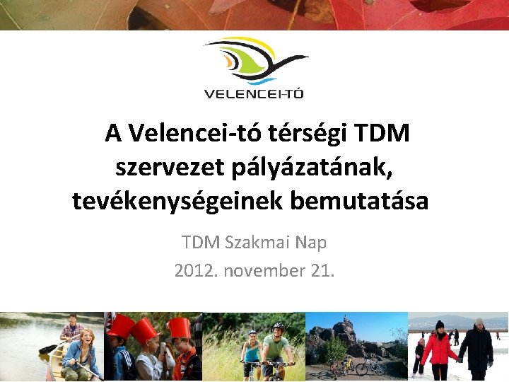 A Velencei-tó térségi TDM szervezet pályázatának, tevékenységeinek bemutatása TDM Szakmai Nap 2012. november 21.