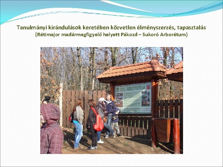 Tanulmányi kirándulások keretében közvetlen élményszerzés, tapasztalás (Rétimajor madármegfigyelő helyett Pákozd – Sukoró Arborétum) 