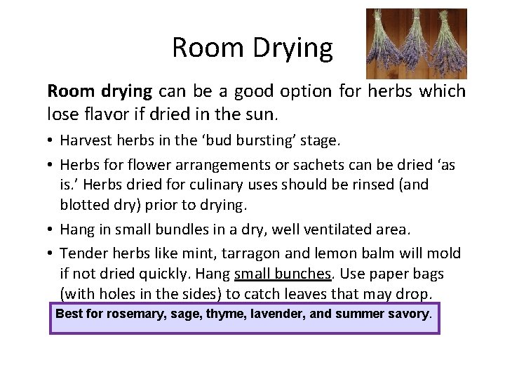 Room Drying Room drying can be a good option for herbs which lose flavor