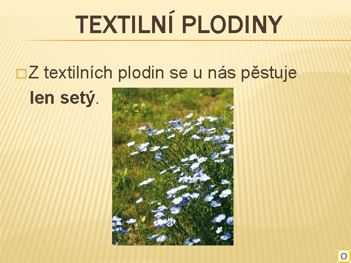 TEXTILNÍ PLODINY �Z textilních plodin se u nás pěstuje len setý. 