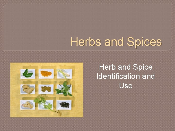 Herbs and Spices Herb and Spice Identification and Use 