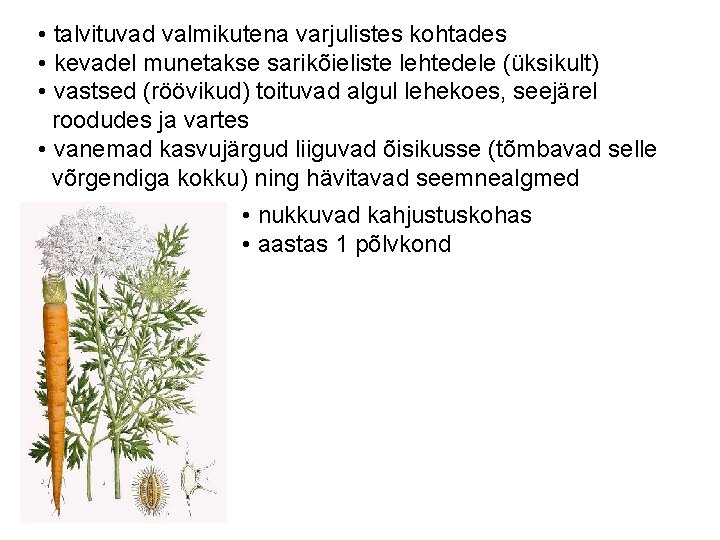  • talvituvad valmikutena varjulistes kohtades • kevadel munetakse sarikõieliste lehtedele (üksikult) • vastsed