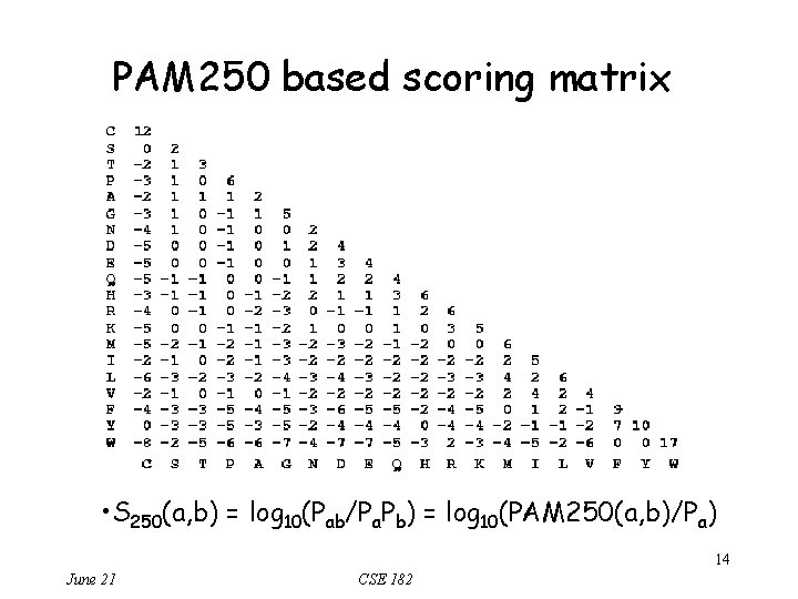 PAM 250 based scoring matrix • S 250(a, b) = log 10(Pab/Pa. Pb) =