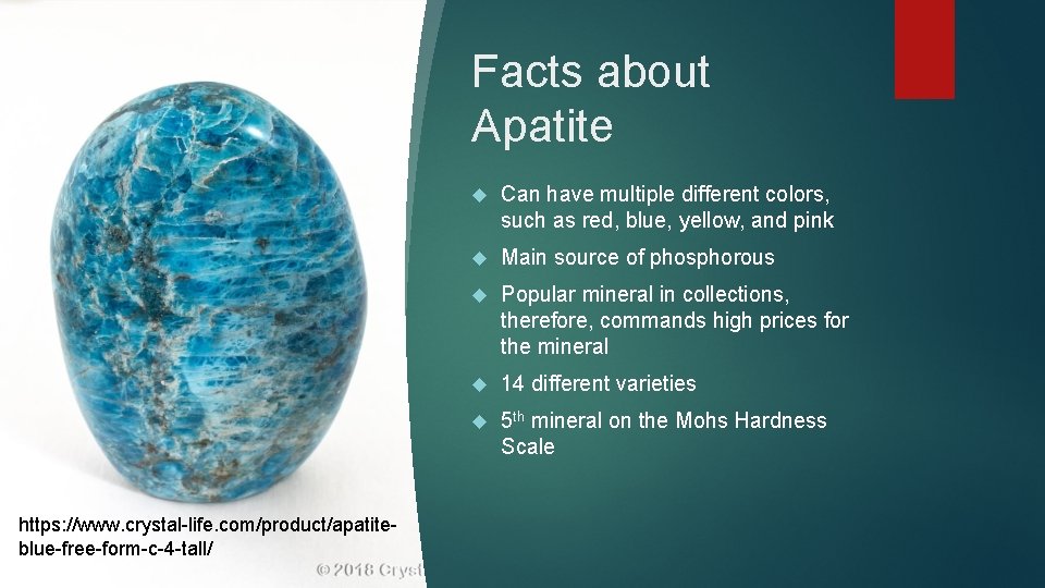 Facts about Apatite https: //www. crystal-life. com/product/apatiteblue-free-form-c-4 -tall/ Can have multiple different colors, such