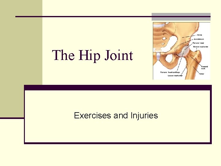 The Hip Joint Exercises and Injuries 
